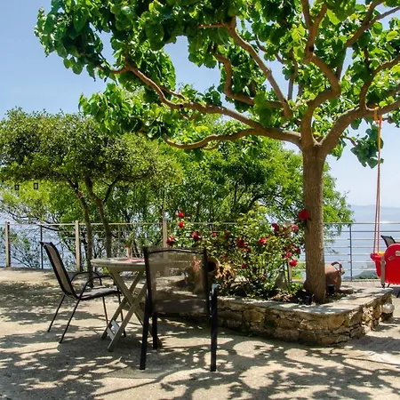 Pounta Family * Glossa