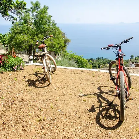 Pounta Family Glossa