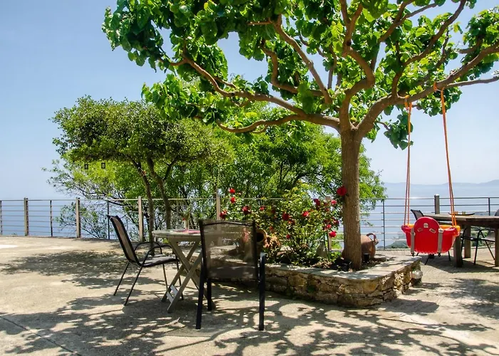 Pounta Family * Glossa