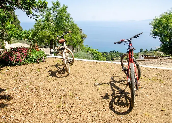 Pounta Family Γλώσσα